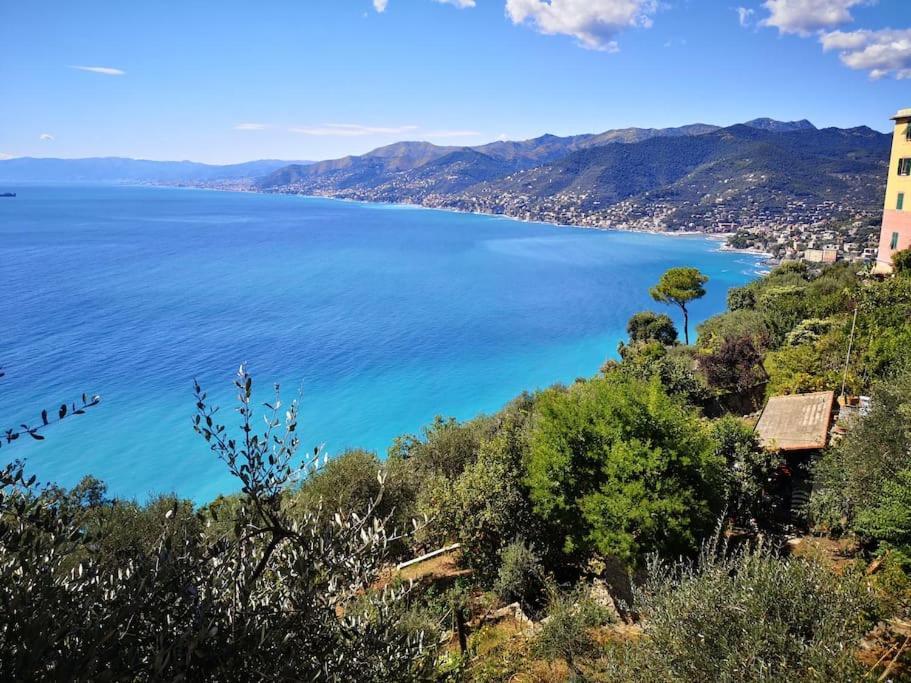 Villa Olivari - Apt Il Melograno Camogli Extérieur photo