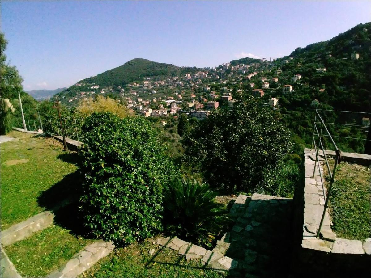 Villa Olivari - Apt Il Melograno Camogli Extérieur photo