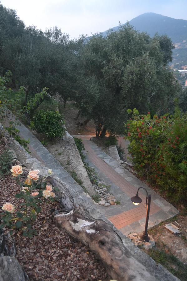 Villa Olivari - Apt Il Melograno Camogli Extérieur photo